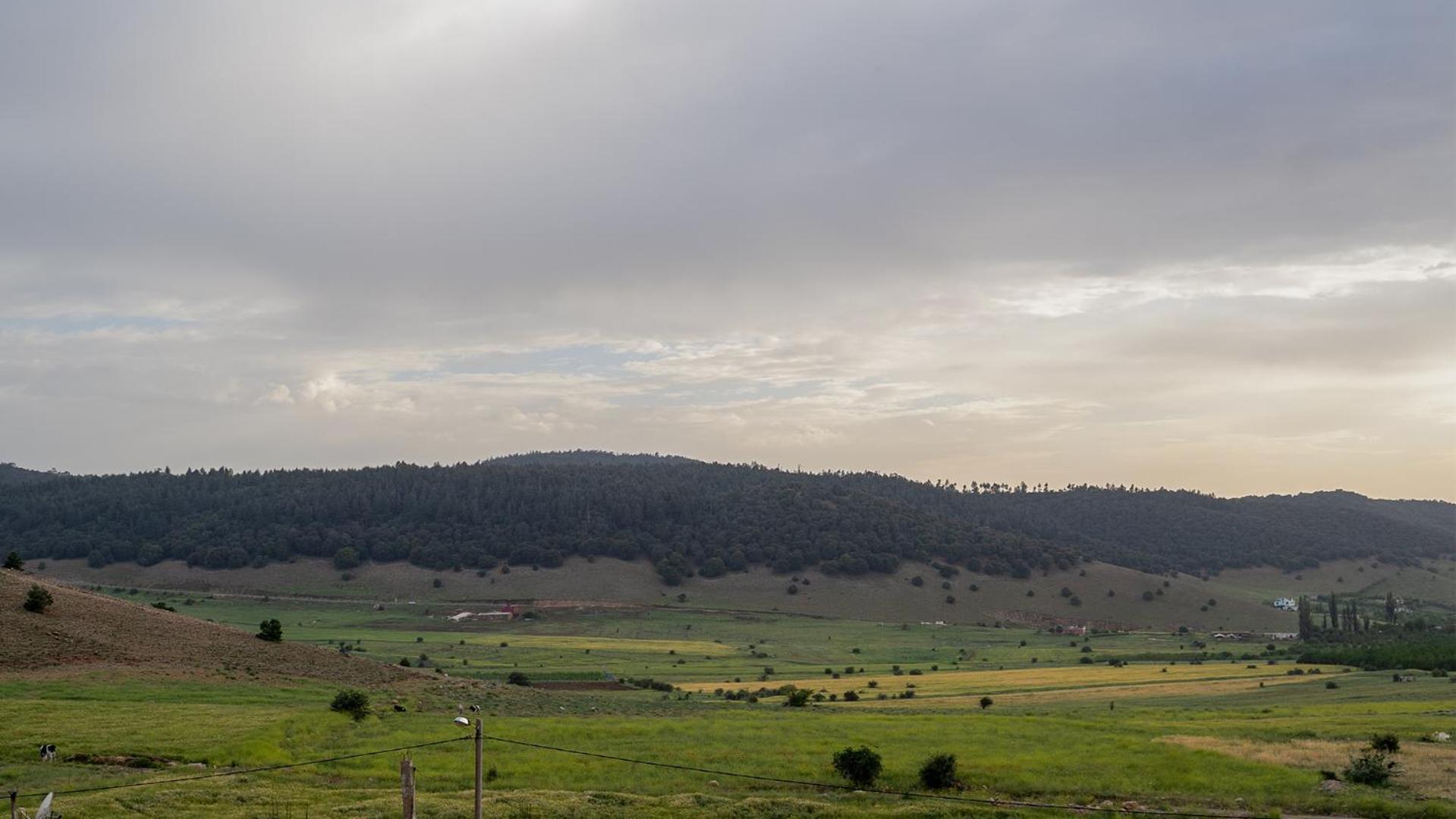 Gite Forest Tagroumte Azrou Exterior photo